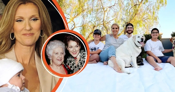 Céline Dion fait toujours passer ses trois fils avant sa carrière   Parce qu'elle était sa 14e enfant, sa mère ne voulait pas d'elle au début